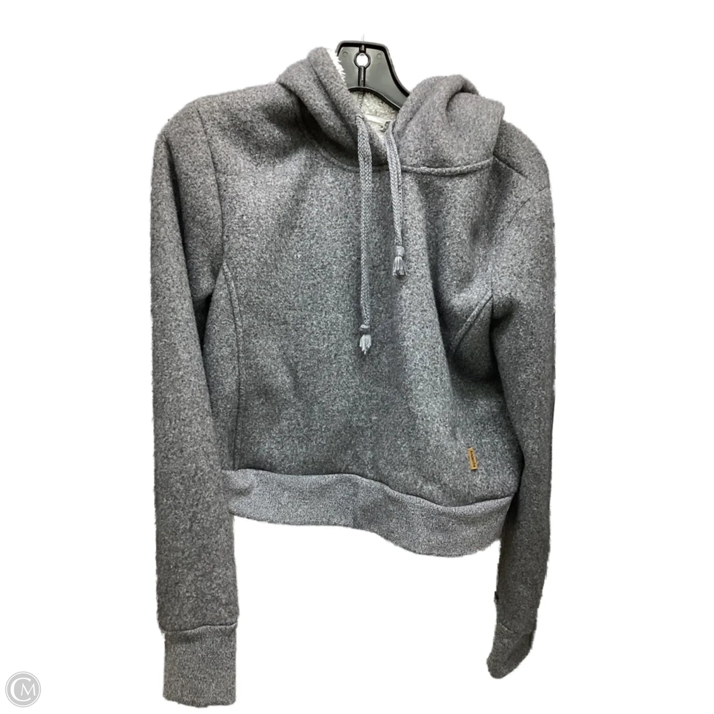 Sweatshirt Hoodie By Avalanche In Grey, Size: S