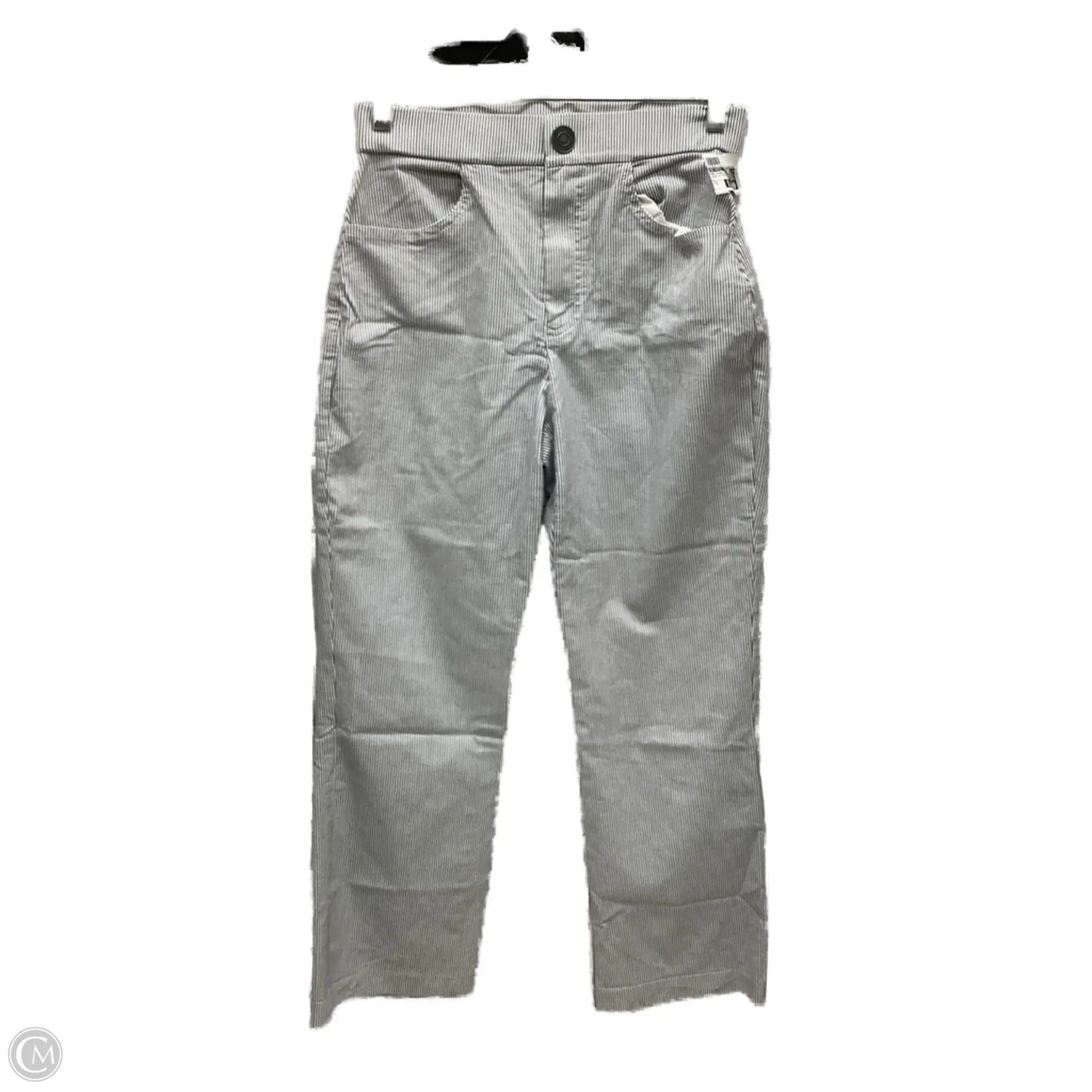 Pants Chinos & Khakis By Free People In Striped Pattern, Size: S