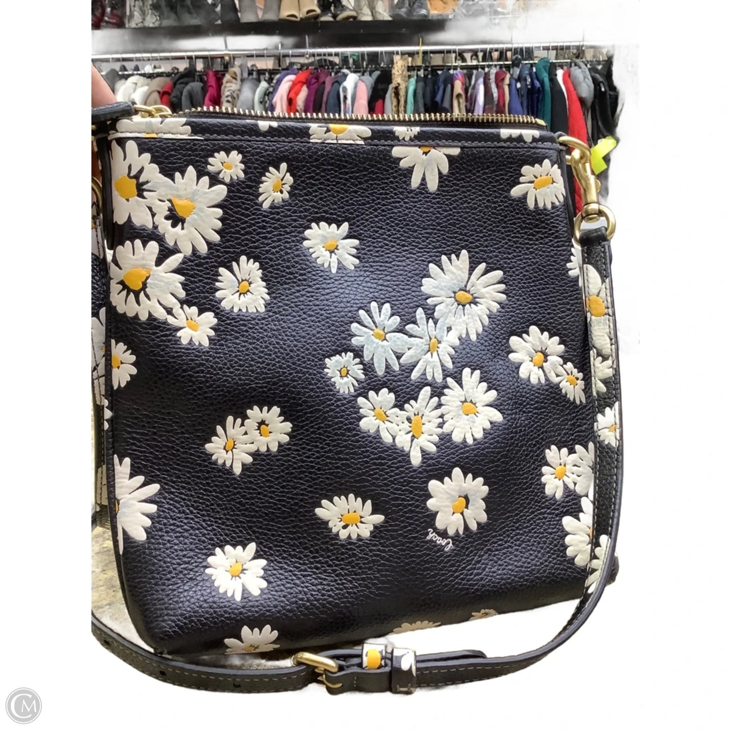 Crossbody Designer By Coach, Size: Medium