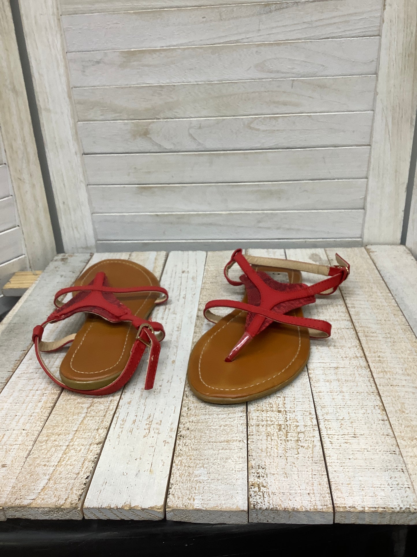Sandals Flip Flops By Clothes Mentor Size: 9