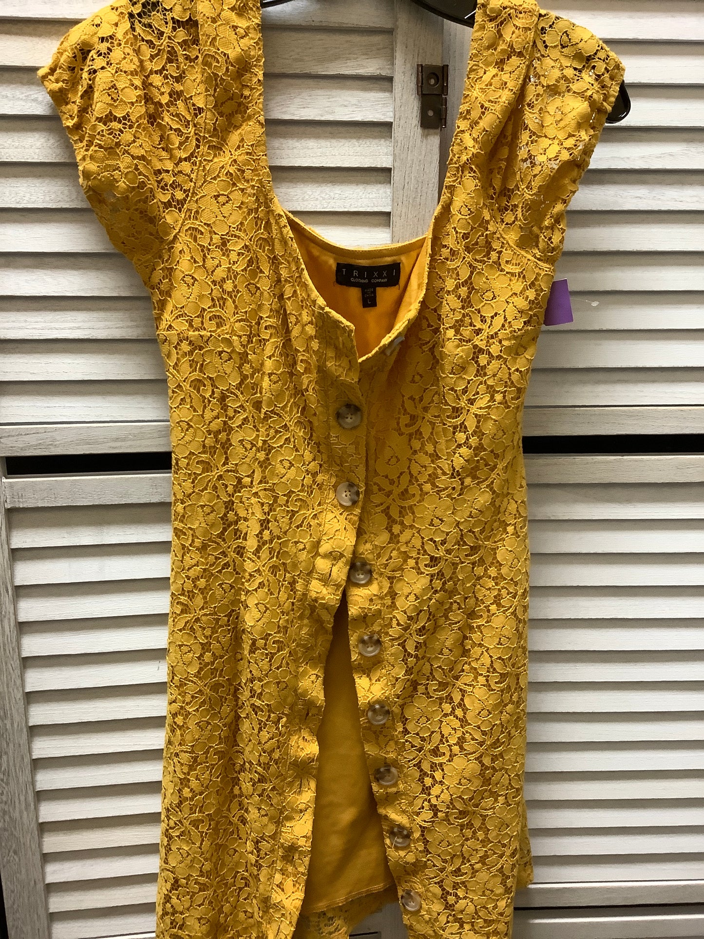 Dress Casual Short By Clothes Mentor Size: L