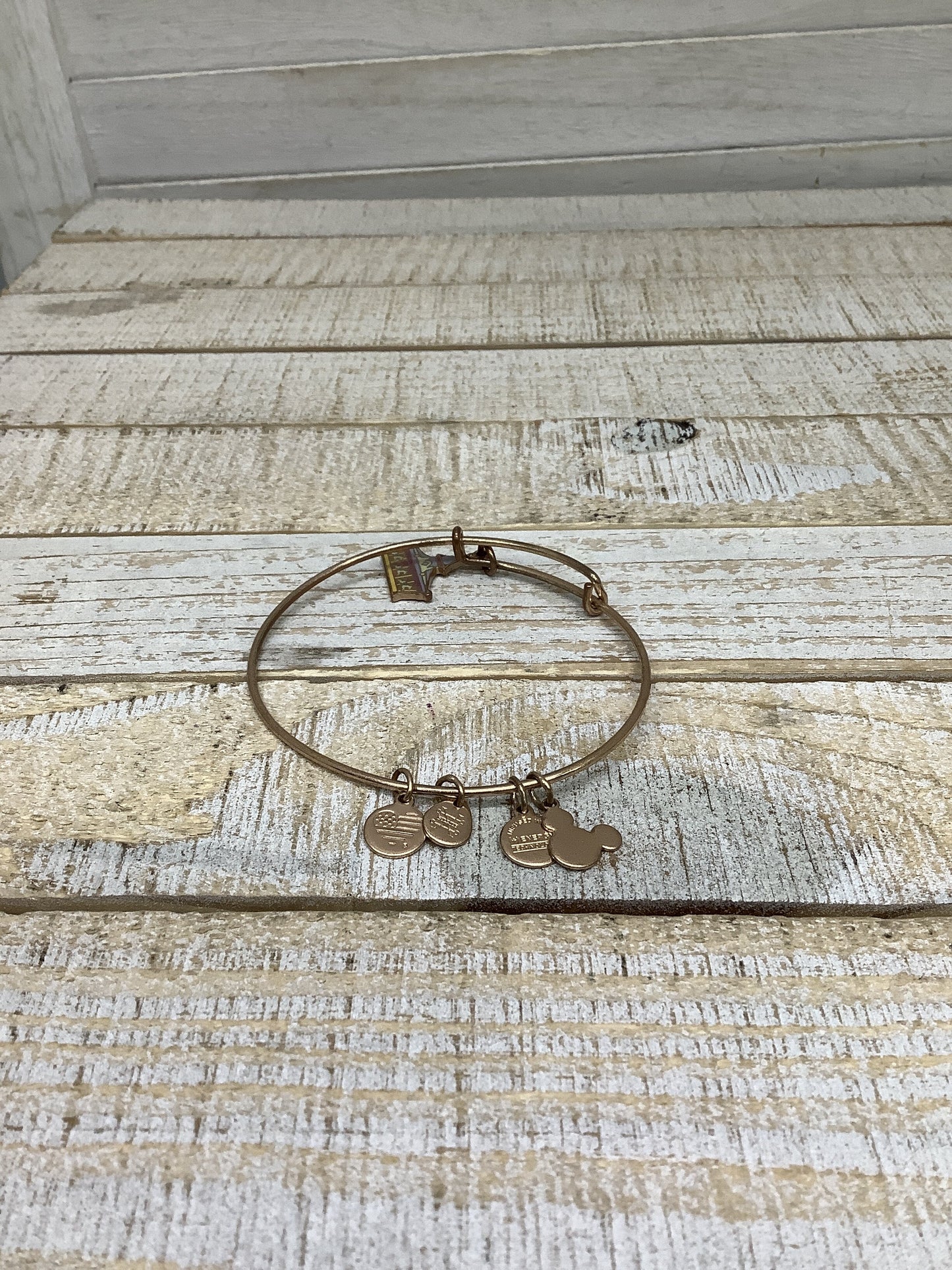 Bracelet Bangle By Alex And Ani