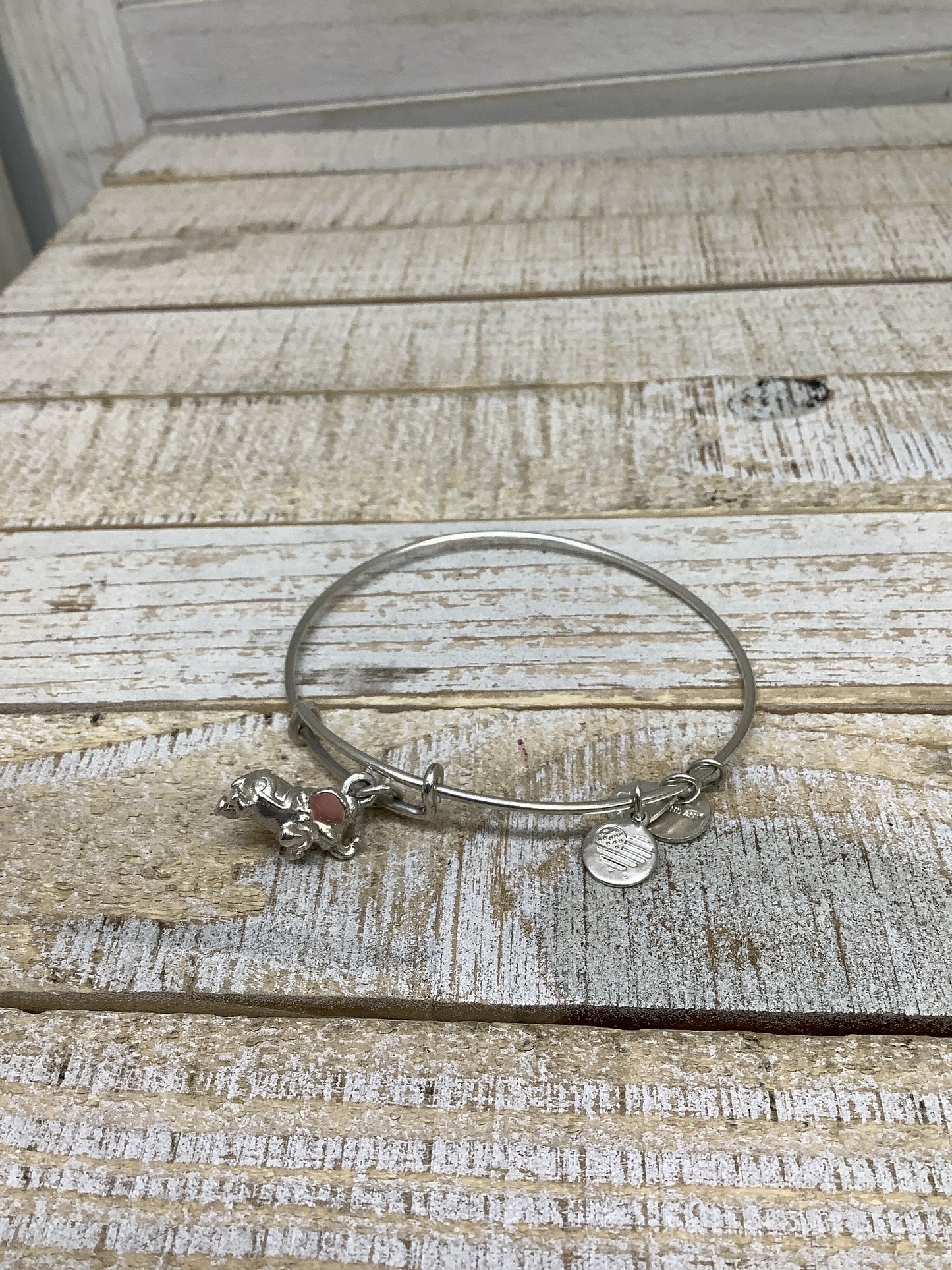 Bracelet Bangle By Alex And Ani