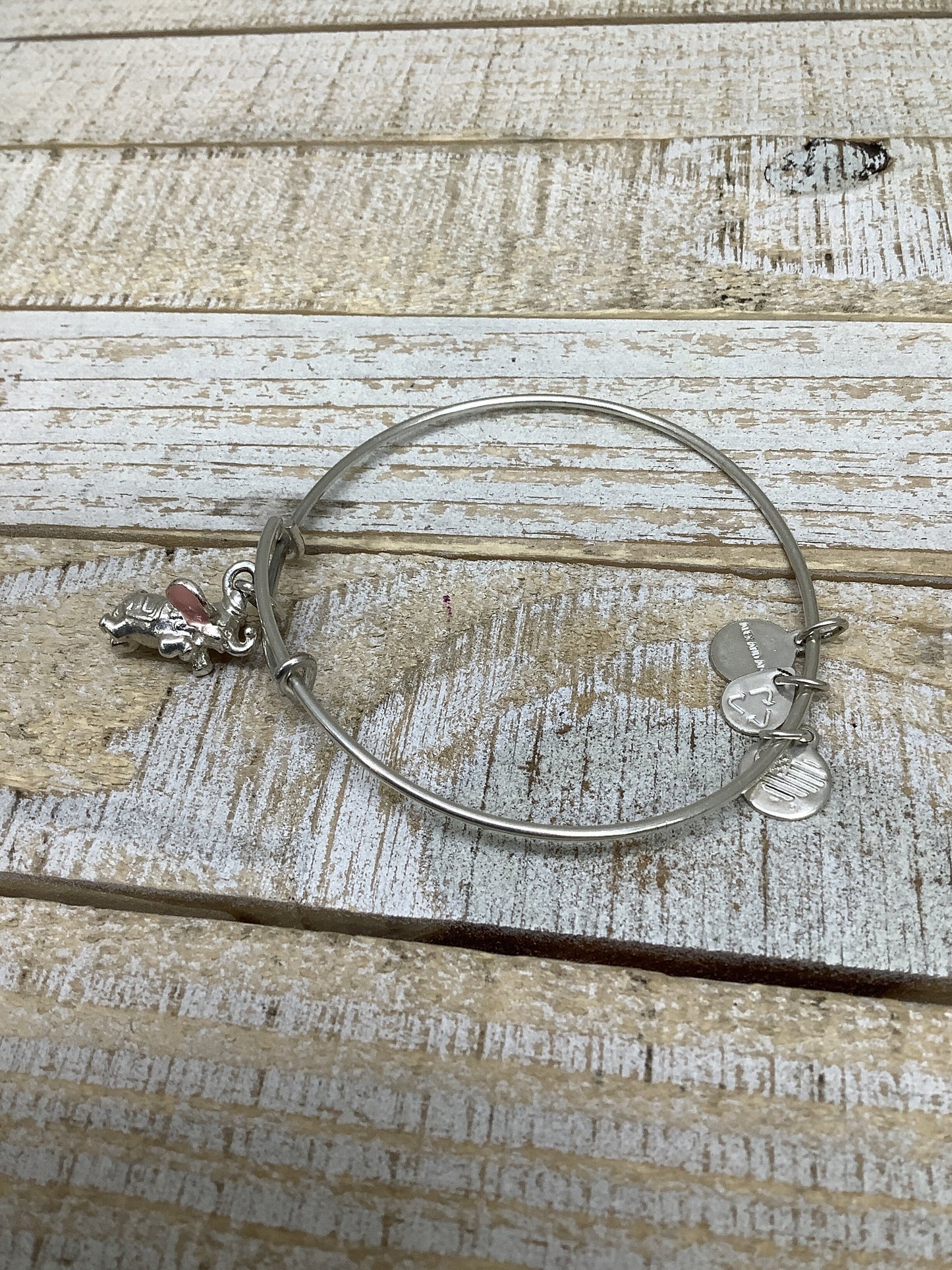 Bracelet Bangle By Alex And Ani