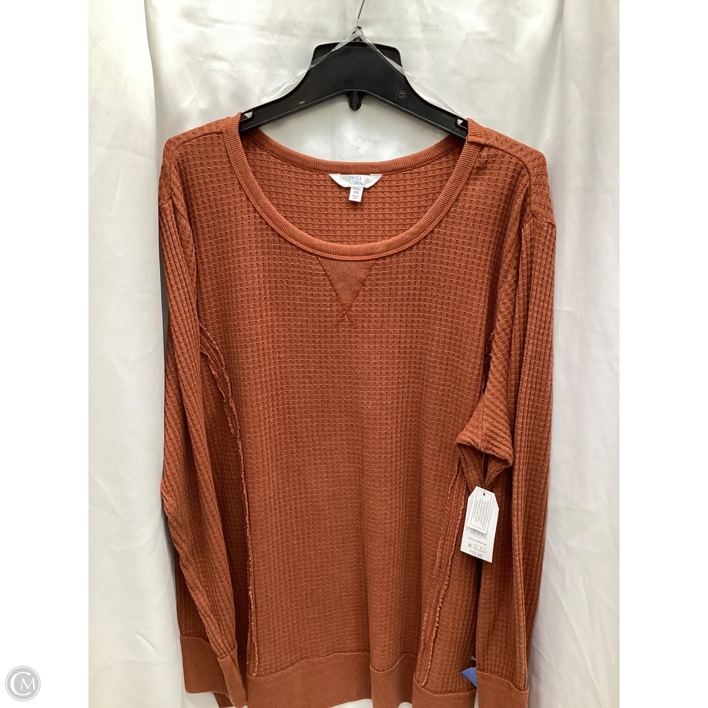 Top Long Sleeve By Time And Tru In Brown, Size: 22