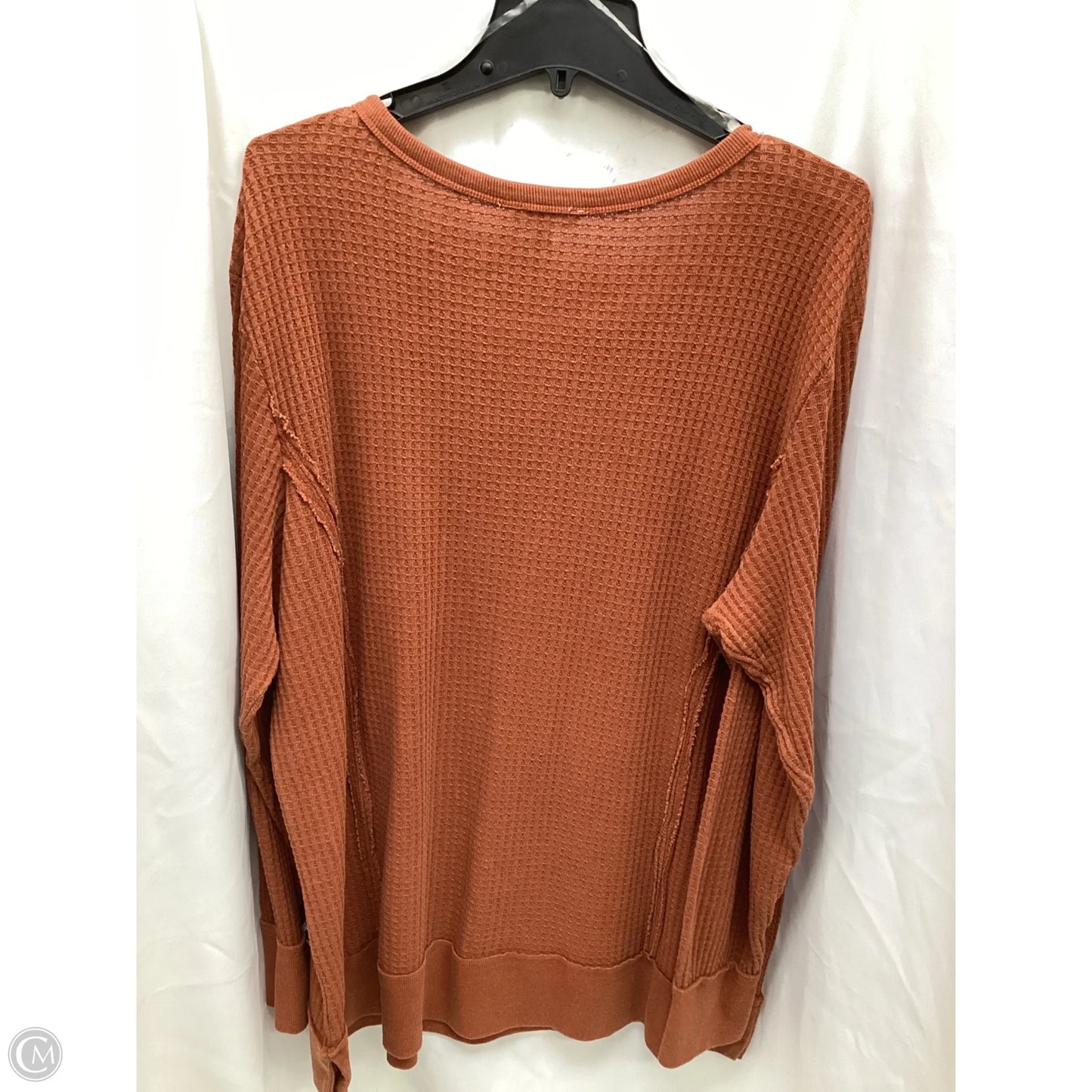 Top Long Sleeve By Time And Tru In Brown, Size: 22