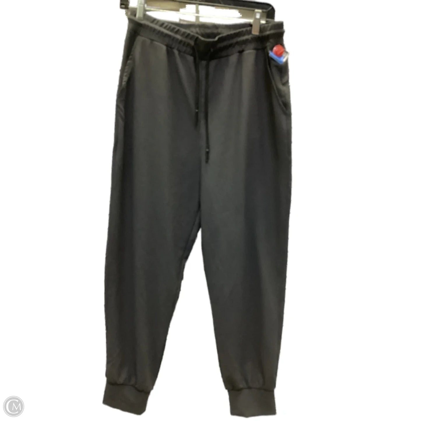 Athletic Pants By Zyia In Grey, Size: L