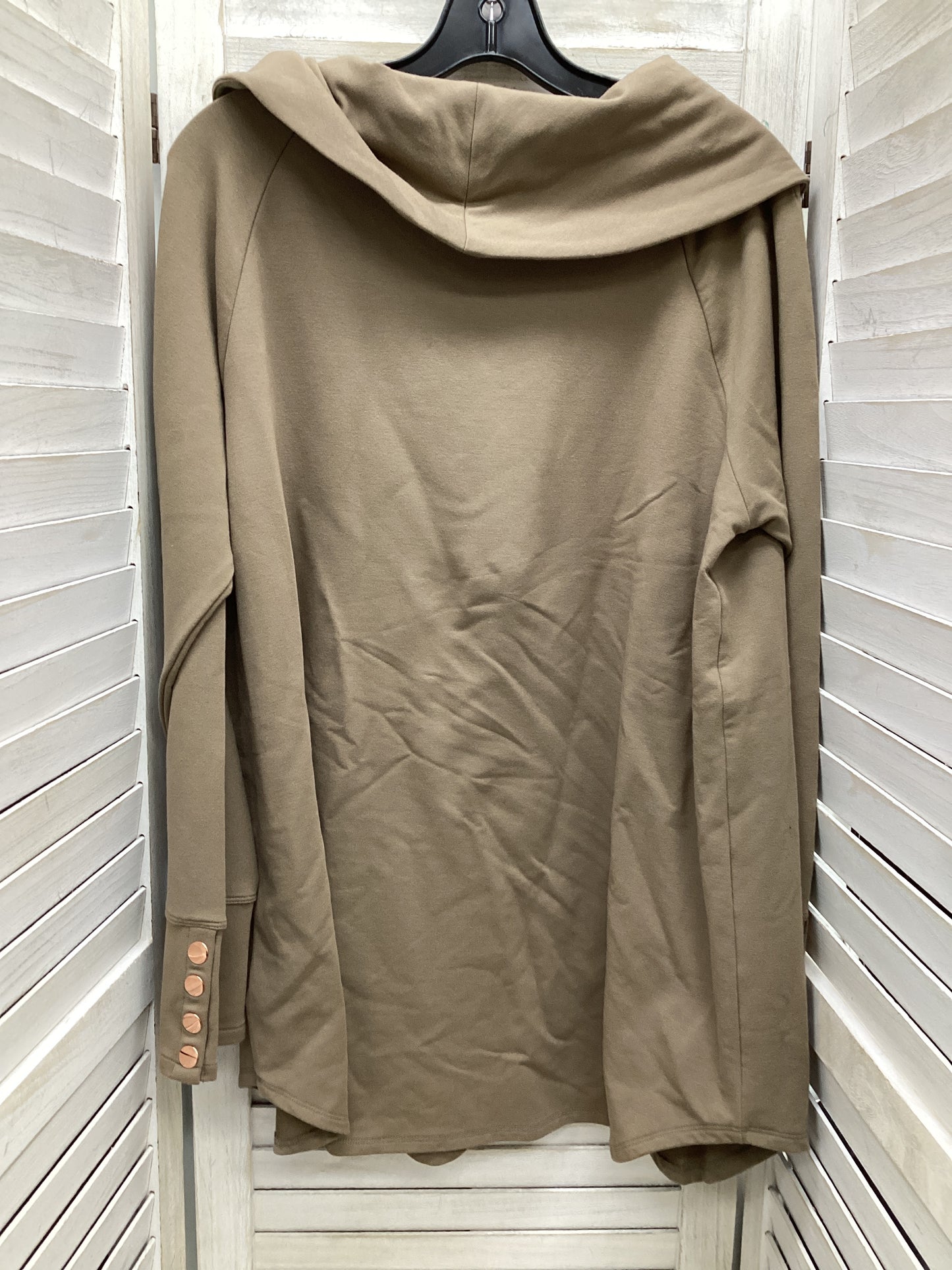 Tunic Long Sleeve By Soft Surroundings In Taupe, Size: Xl