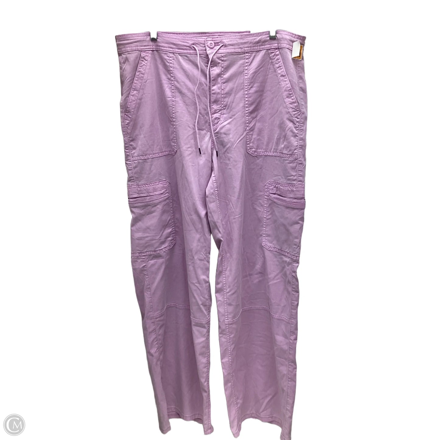 Pants Wide Leg By American Eagle In Purple, Size: 16