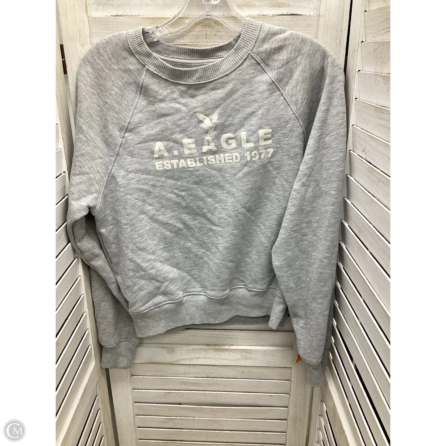 Sweatshirt Crewneck By American Eagle In Grey, Size: Xs