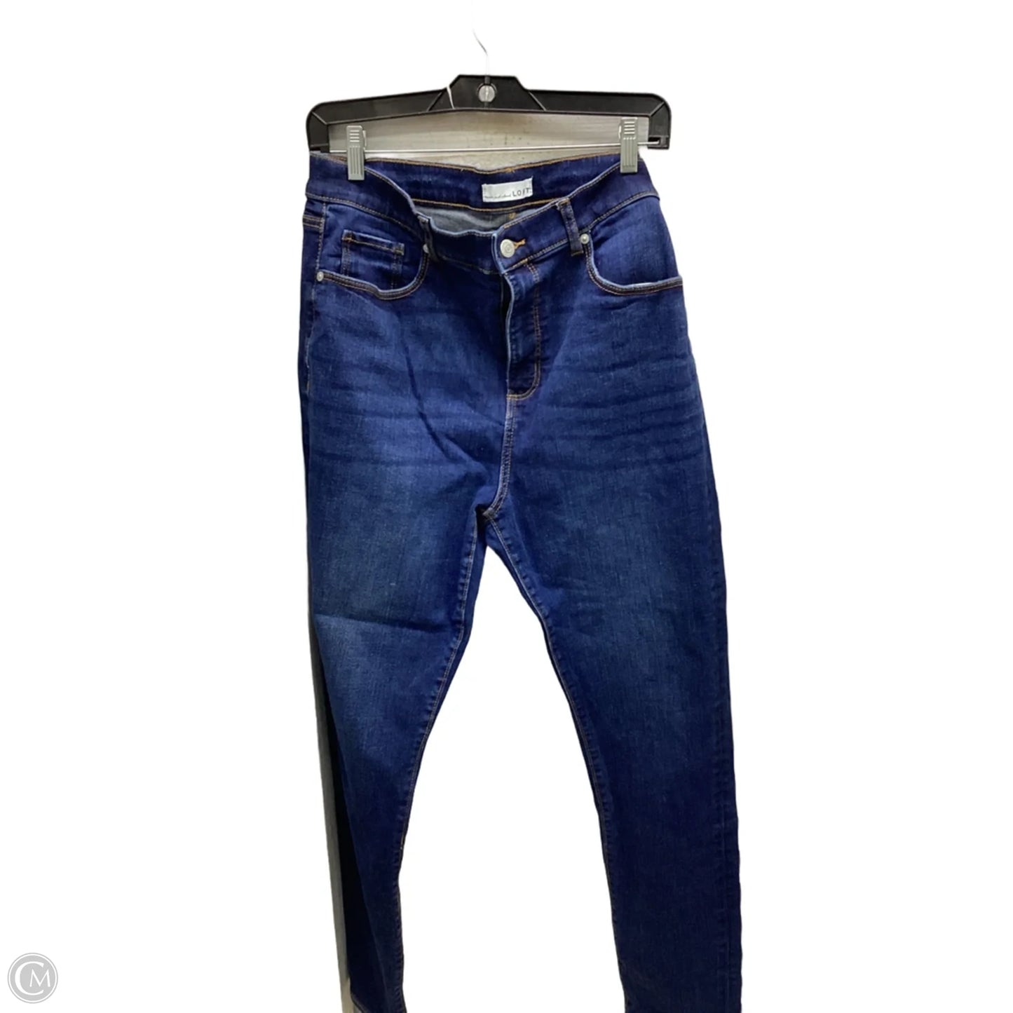 Jeans Skinny By Loft In Blue, Size: 14