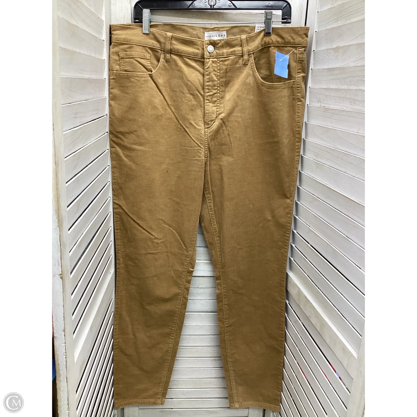 Pants Chinos & Khakis By Loft In Beige, Size: 14