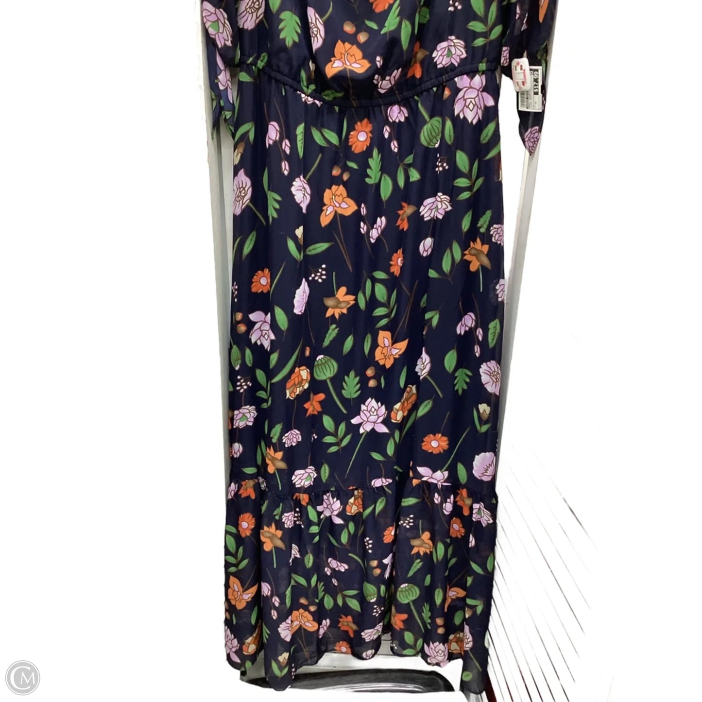 Dress Casual Maxi By Ronnie Nicole In Floral Print, Size: 12