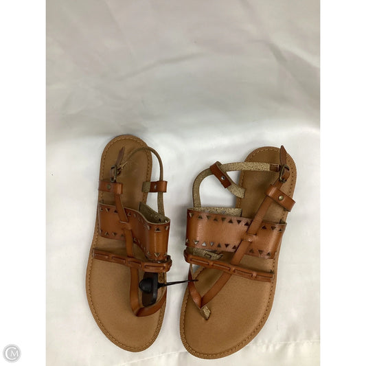 Sandals Flats By True Craft In Brown, Size: 8.5