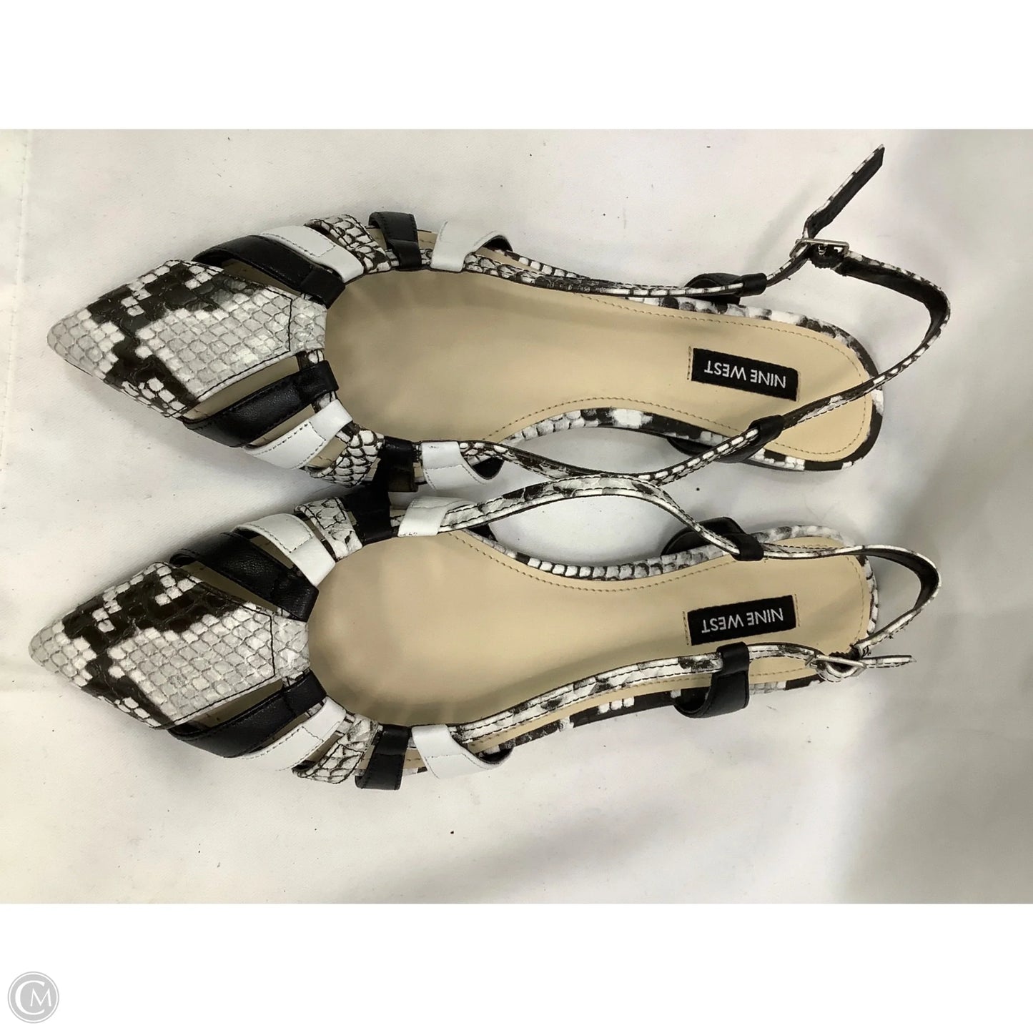 Shoes Flats By Nine West In Snakeskin Print, Size: 9