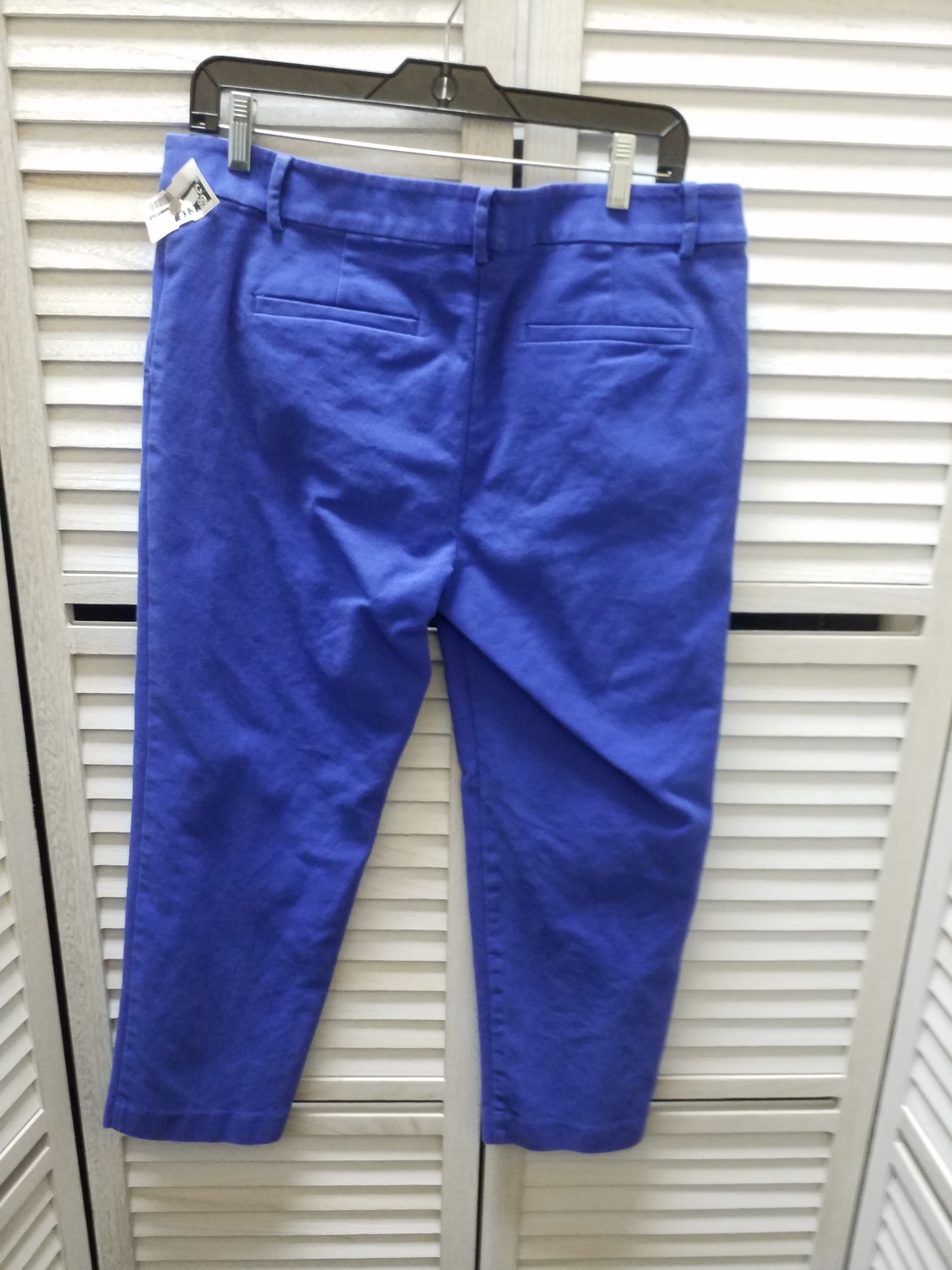 Pants Ankle By Loft  Size: 10