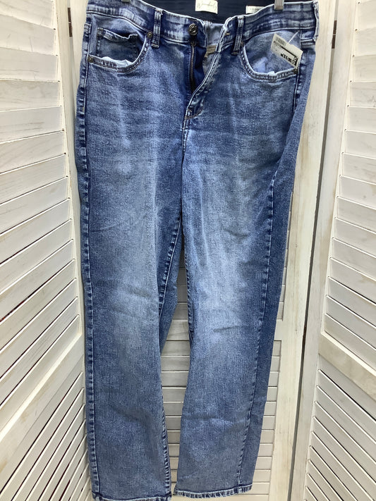 Blue Denim Jeans Straight Wonderly, Size 10