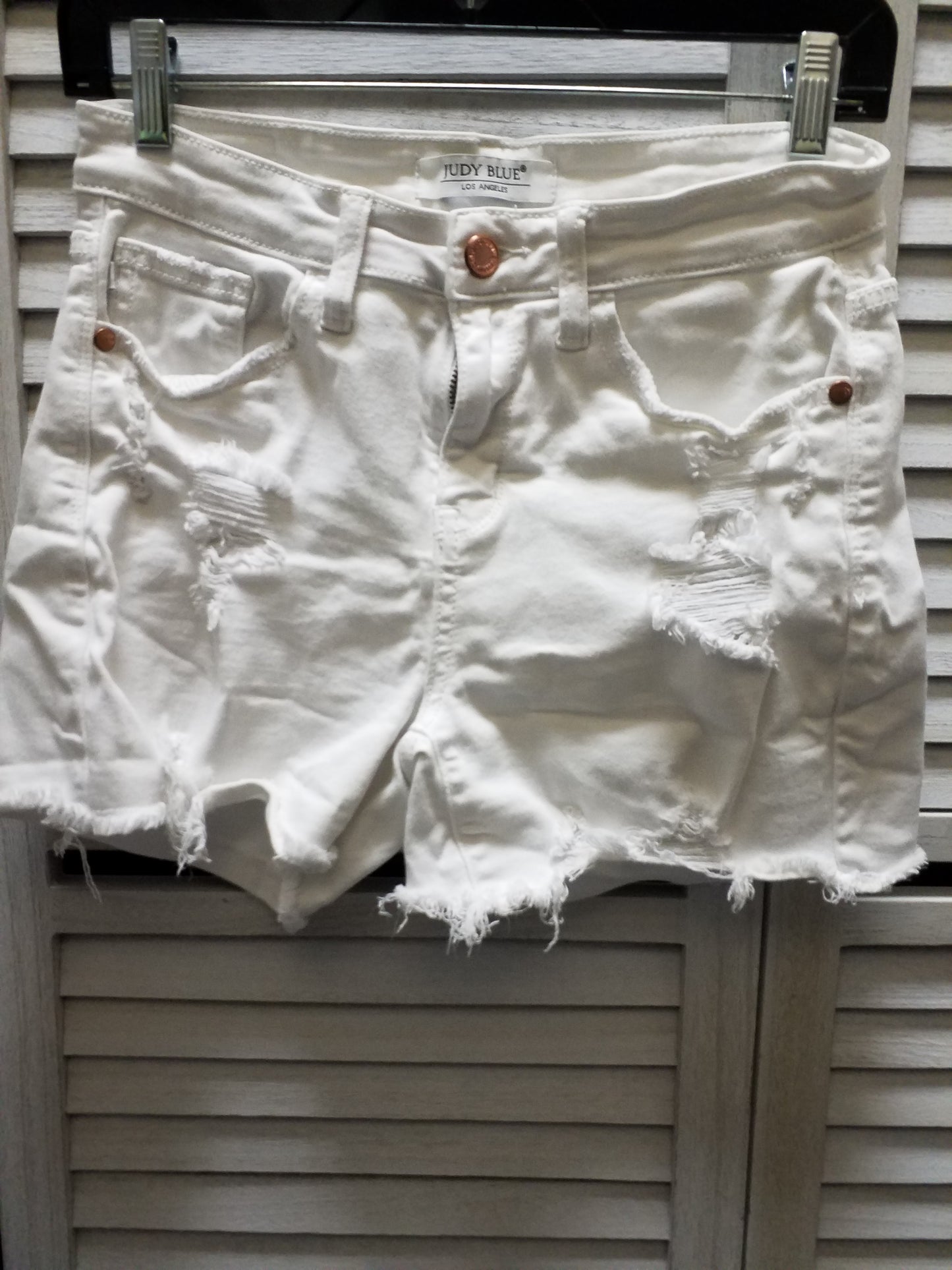 Shorts By Judy Blue  Size: S