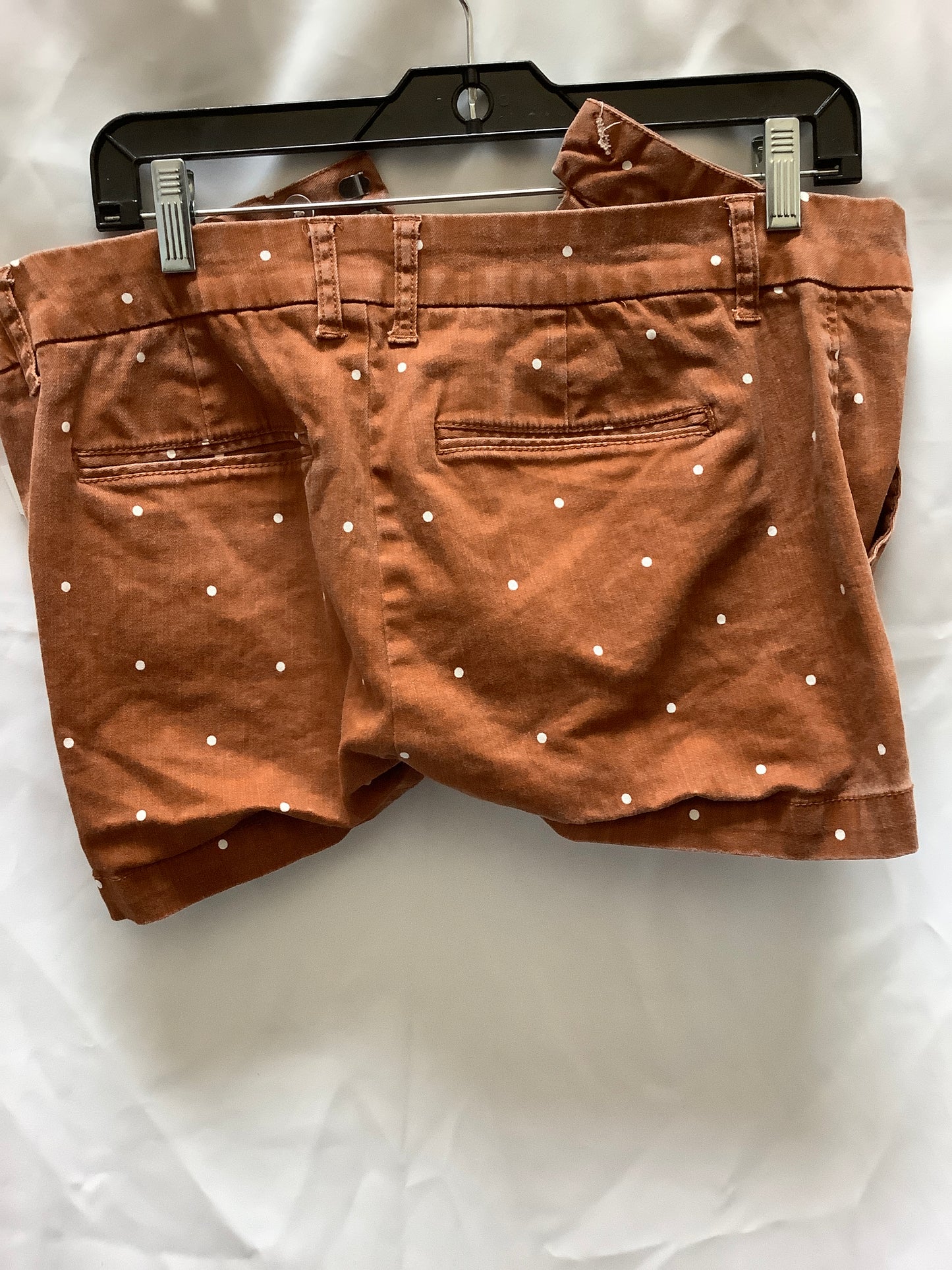 Shorts By Miami  Size: L