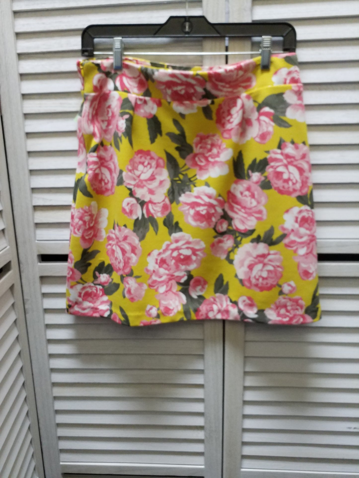 Skirt Mini & Short By Clothes Mentor  Size: M