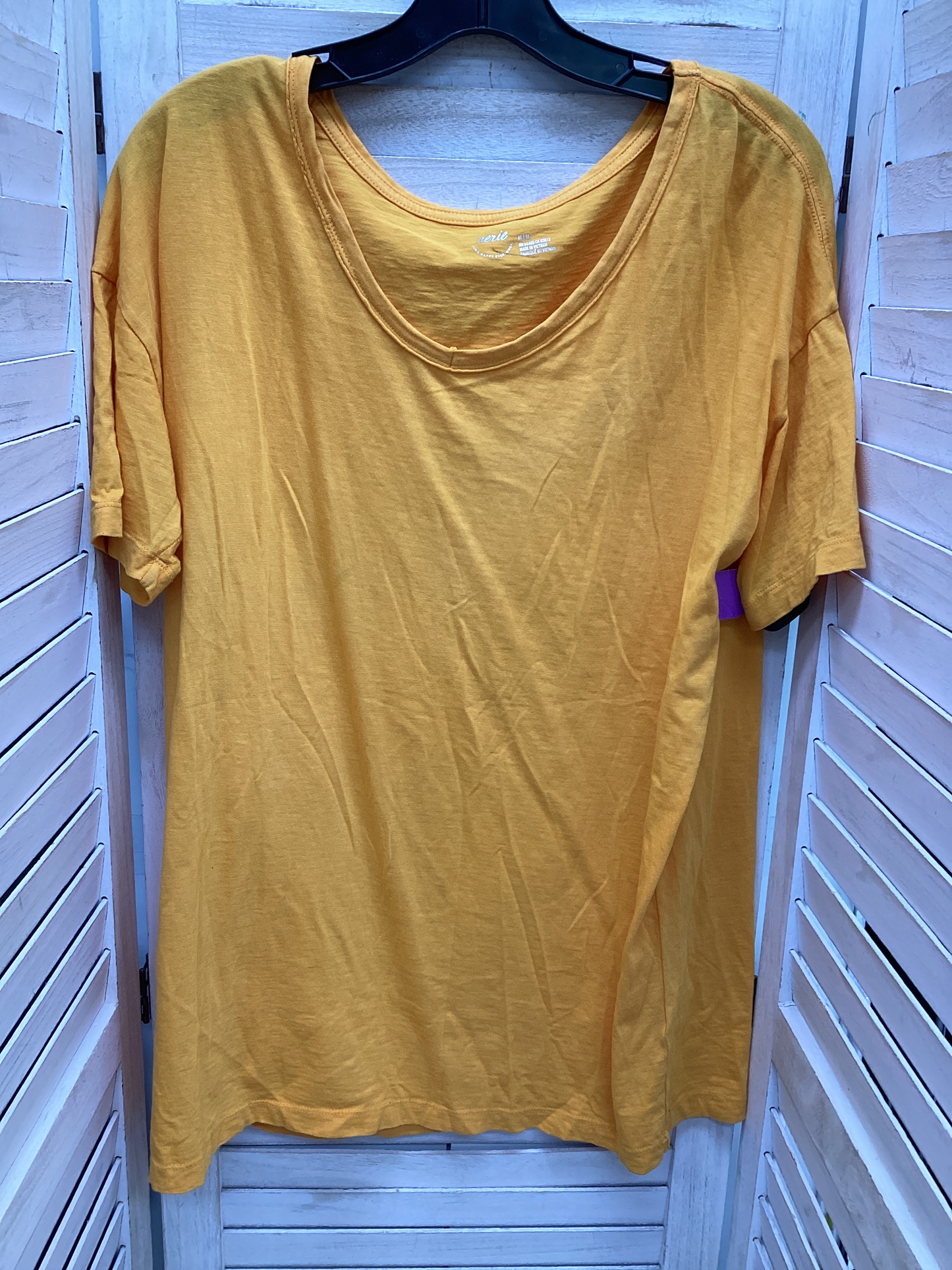 Top Short Sleeve Basic By Aerie  Size: M