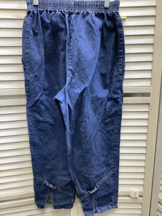 Denim Jeans Cropped Clothes Mentor, Size 6petite