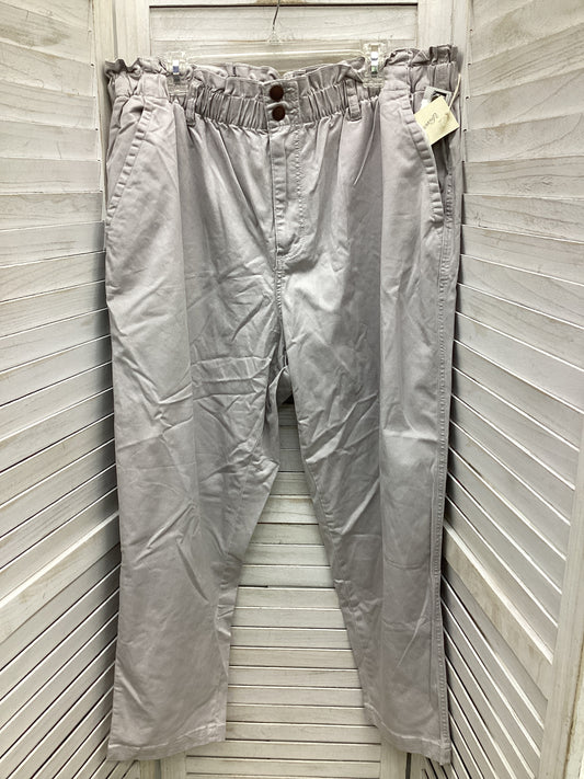 Pants Cargo & Utility By Universal Thread In Grey, Size: 20