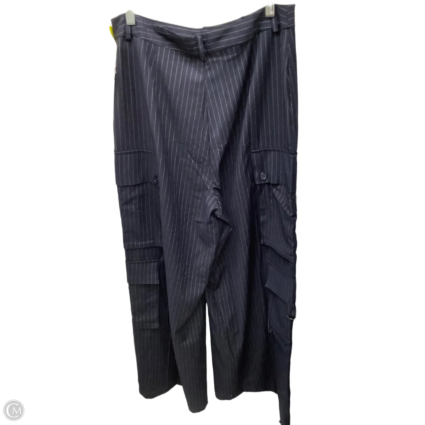 Pants Cargo & Utility By Anthropologie In Navy, Size: 14