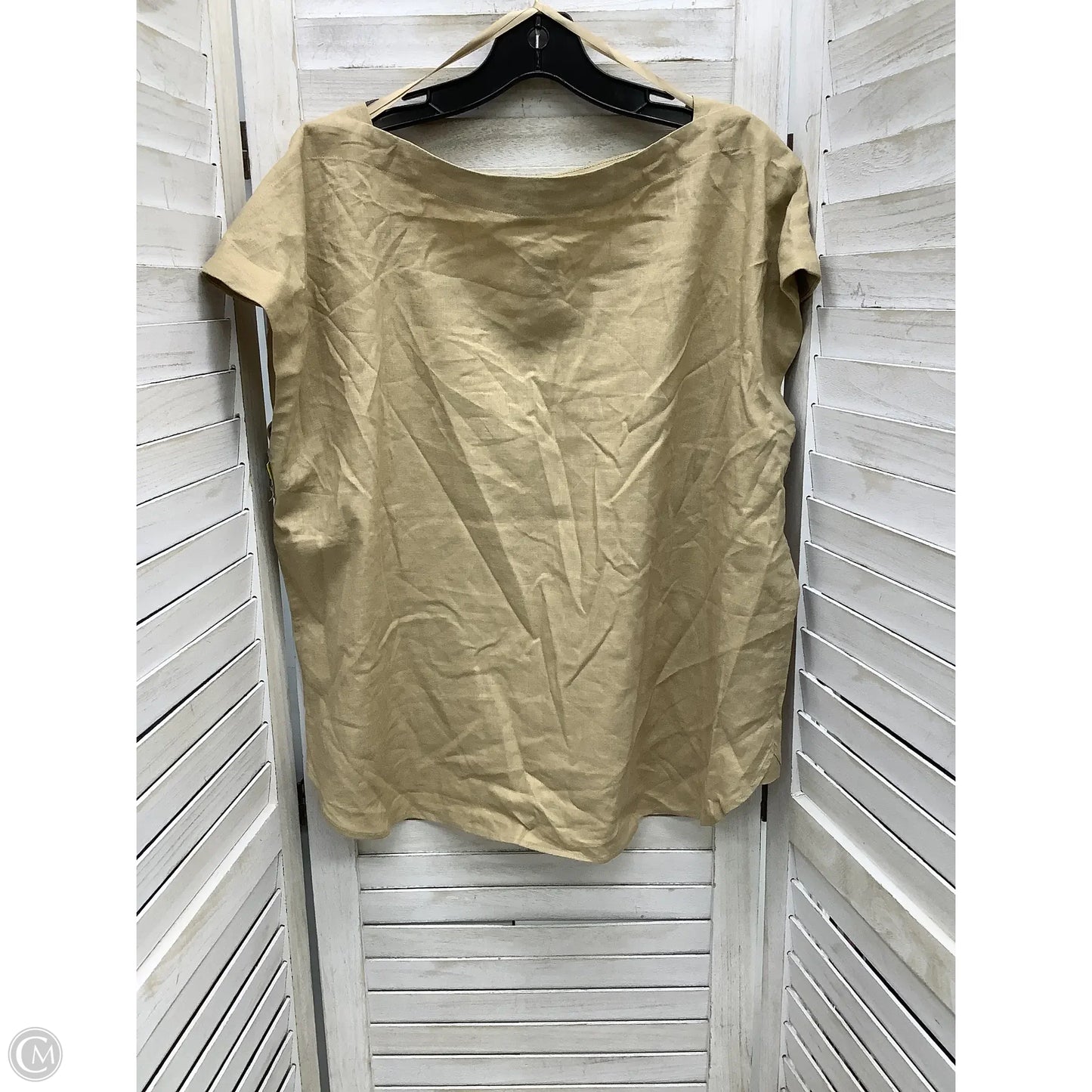 Top Sleeveless By Ann Taylor In Tan, Size: Xl