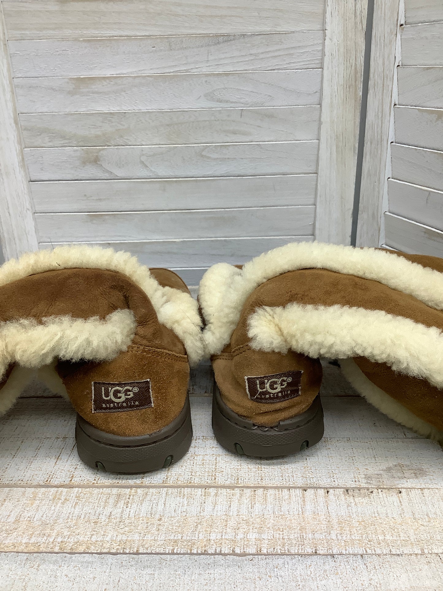 Boots Snow By Ugg  Size: 7